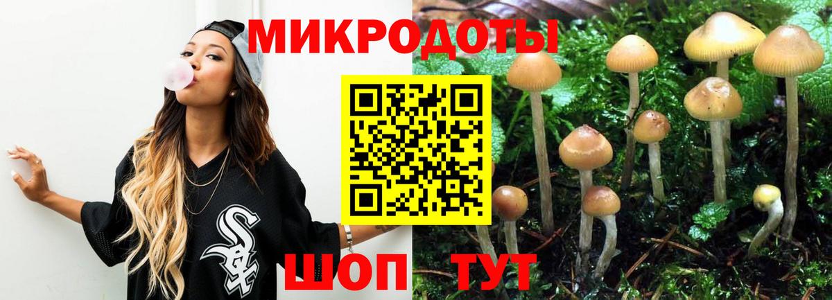 Галлюциногенные грибы MAGIC MUSHROOMS Красный Сулин